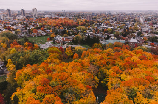 kp museoparcvanier 2023 231024 378 530x350 (1)