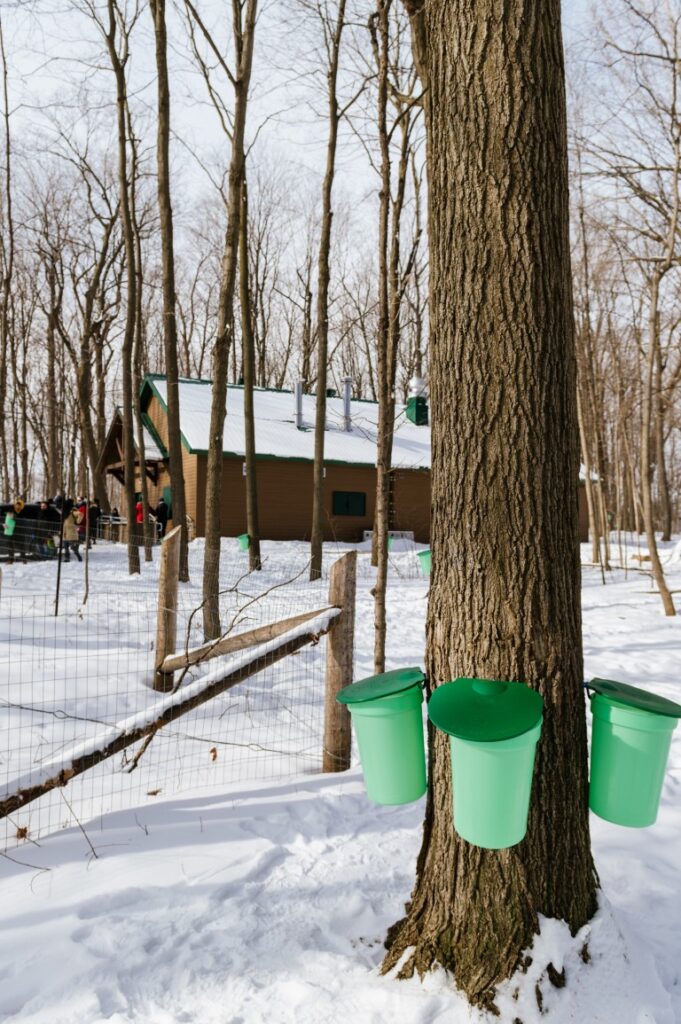 kp museoparc sucre 240217 211.jpg