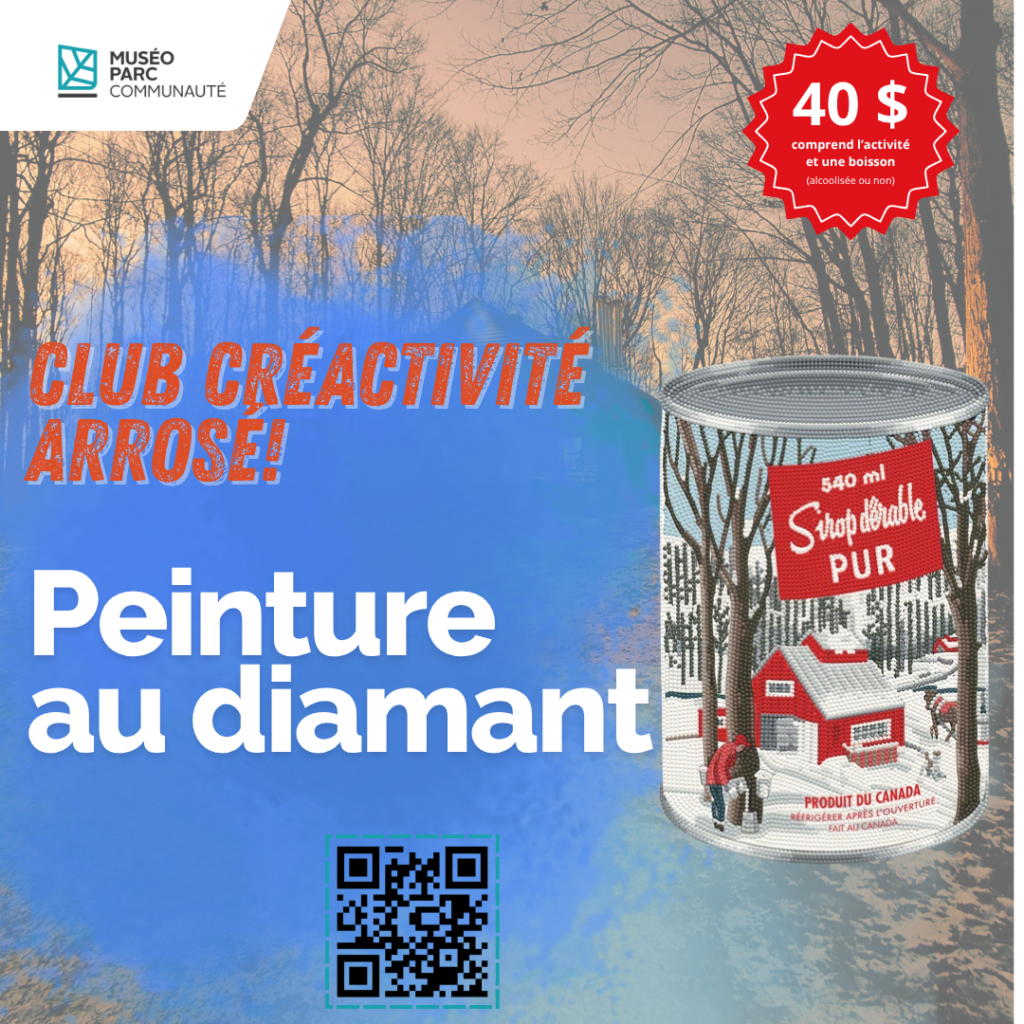 fr affiche diamond painting