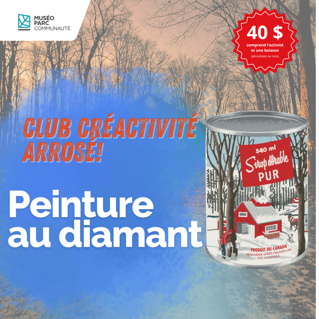 fr affiche diamond painting